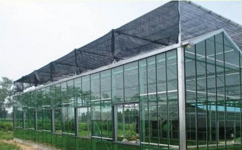 �{(di��o)�ⲣ��